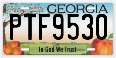 GA license plate PTF9530