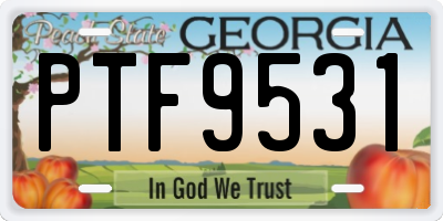 GA license plate PTF9531