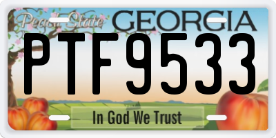 GA license plate PTF9533