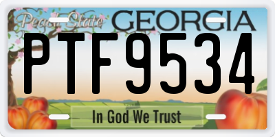 GA license plate PTF9534