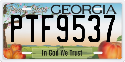 GA license plate PTF9537