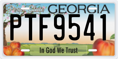 GA license plate PTF9541