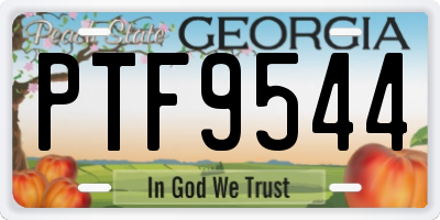 GA license plate PTF9544
