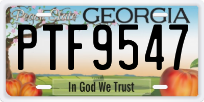 GA license plate PTF9547