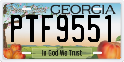 GA license plate PTF9551