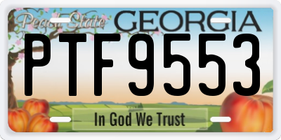 GA license plate PTF9553