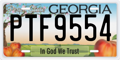 GA license plate PTF9554