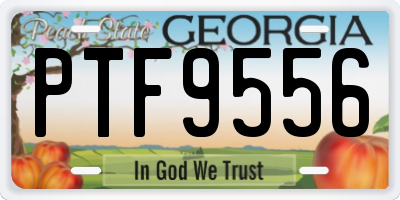 GA license plate PTF9556