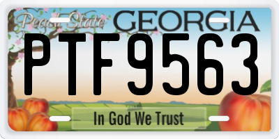 GA license plate PTF9563
