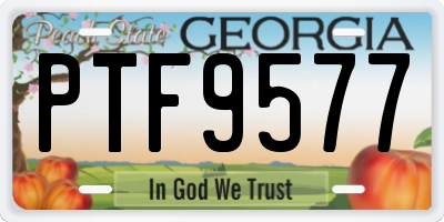 GA license plate PTF9577