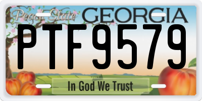 GA license plate PTF9579