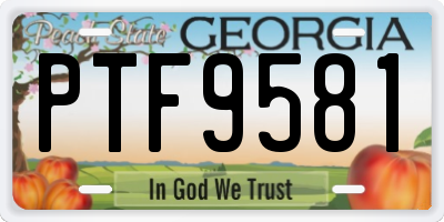 GA license plate PTF9581