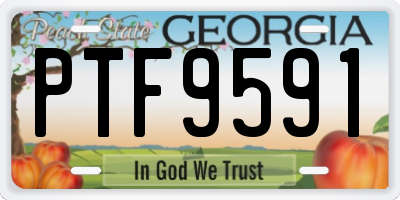 GA license plate PTF9591