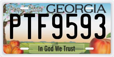 GA license plate PTF9593