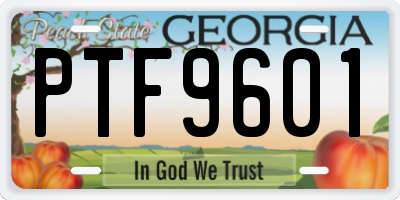 GA license plate PTF9601