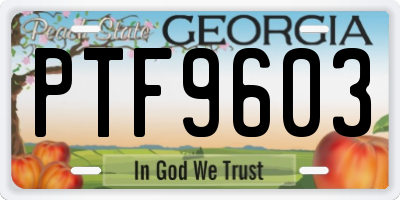 GA license plate PTF9603