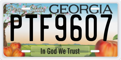 GA license plate PTF9607