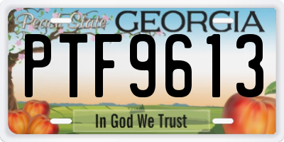 GA license plate PTF9613