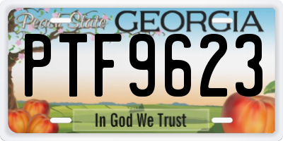 GA license plate PTF9623