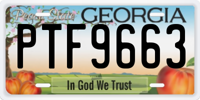 GA license plate PTF9663