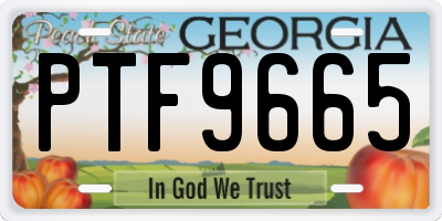 GA license plate PTF9665