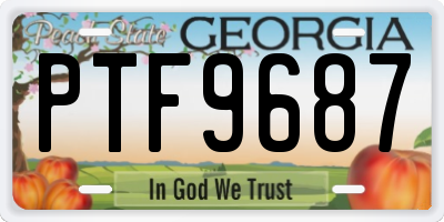 GA license plate PTF9687