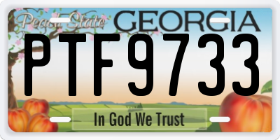 GA license plate PTF9733