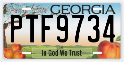 GA license plate PTF9734