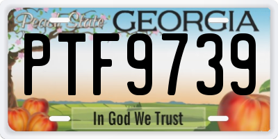 GA license plate PTF9739