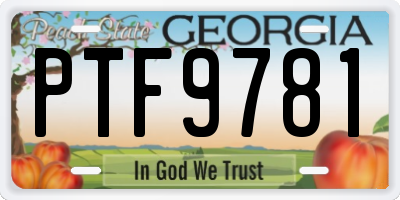 GA license plate PTF9781