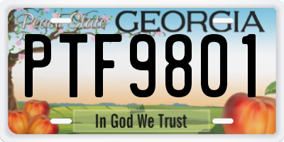 GA license plate PTF9801