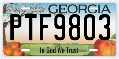 GA license plate PTF9803