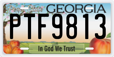 GA license plate PTF9813