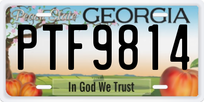 GA license plate PTF9814