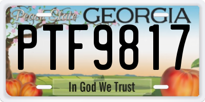 GA license plate PTF9817