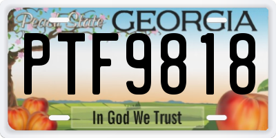 GA license plate PTF9818