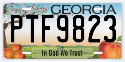 GA license plate PTF9823