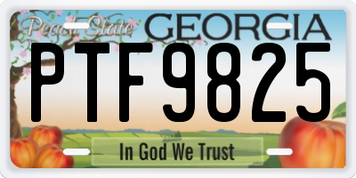 GA license plate PTF9825