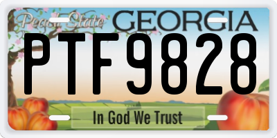GA license plate PTF9828