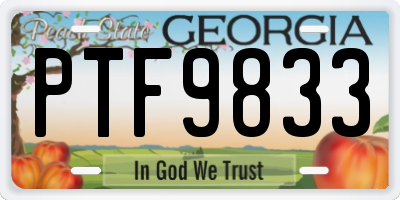 GA license plate PTF9833