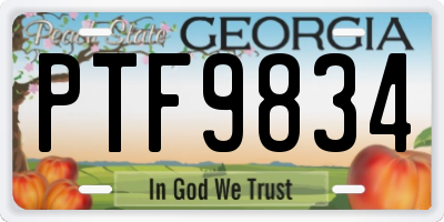 GA license plate PTF9834