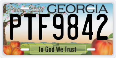 GA license plate PTF9842