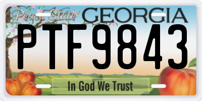 GA license plate PTF9843