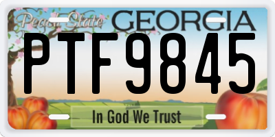 GA license plate PTF9845