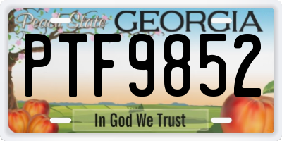 GA license plate PTF9852