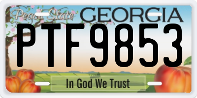 GA license plate PTF9853