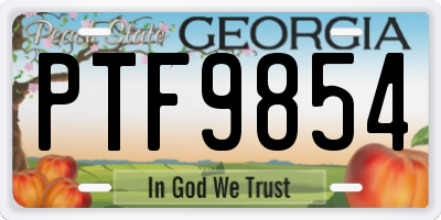 GA license plate PTF9854