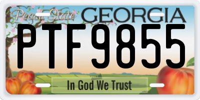 GA license plate PTF9855