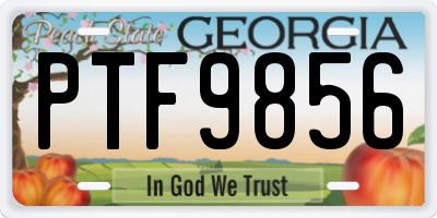 GA license plate PTF9856