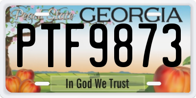 GA license plate PTF9873